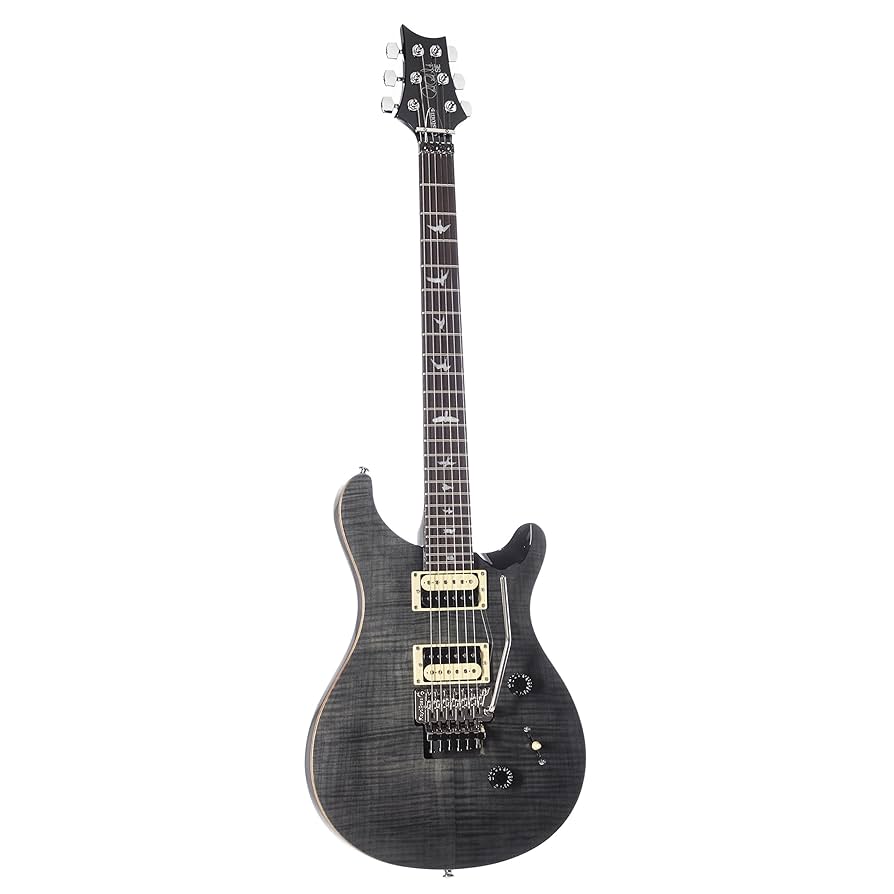 Amazon.com: PRS Paul Reed Smith SE Custom 24 Floyd Rose